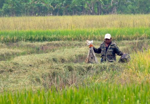 KD14_23092019_REZEKI_DARI_BENDANG_BN201909181478