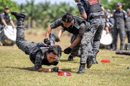 DATUK SERI SAIFUDDIN NASUTION ISMAIL