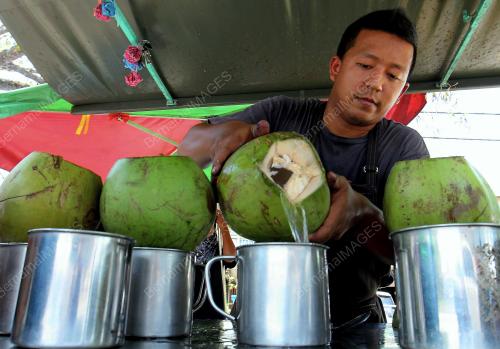 KD14_25022015_AIR_KELAPA01