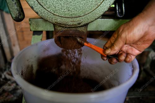 PENGUSAHA KOPI KAMPUNG