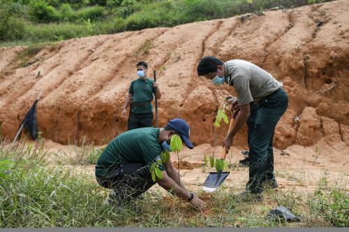 JABATAN HUTAN