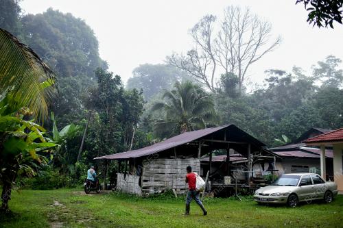 PENGUSAHA KOPI KAMPUNG