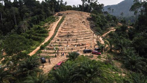 JABATAN HUTAN
