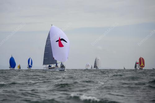 REGATTA LANGKAWI 2024