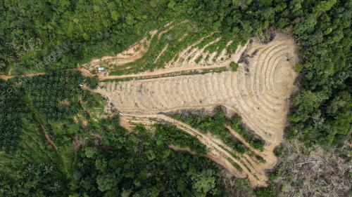JABATAN HUTAN