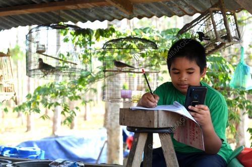 TINJAUAN PELAJAR PDPR