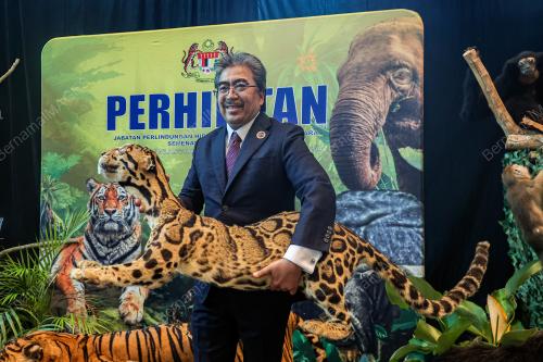 AMME ASEAN