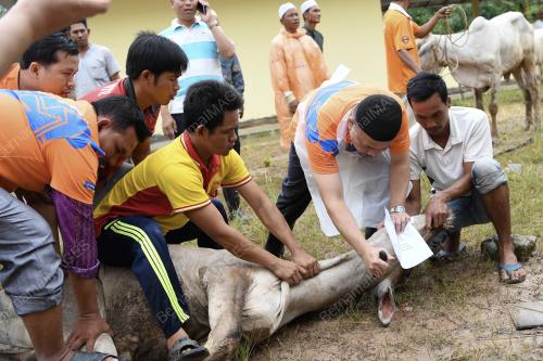 KHM11_24082018_BANK_RAKYAT
