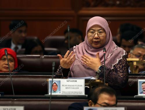 SENATOR FUZIAH SALLEH