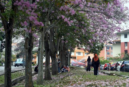 KL004_15092018_SAKURA_BN201809148107