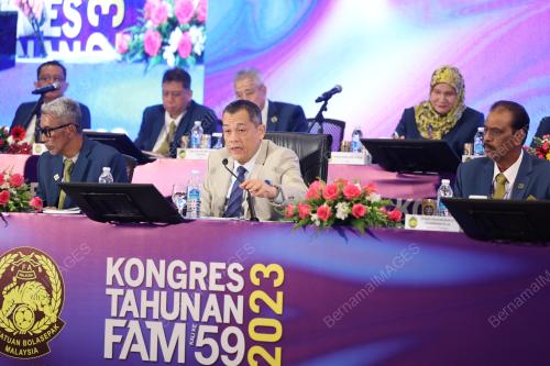 DATUK HAMIDIN MOHD AMIN