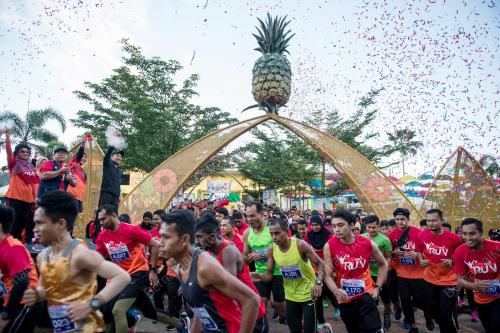 KL01_01122018_PINE_RUN_BN201811305159
