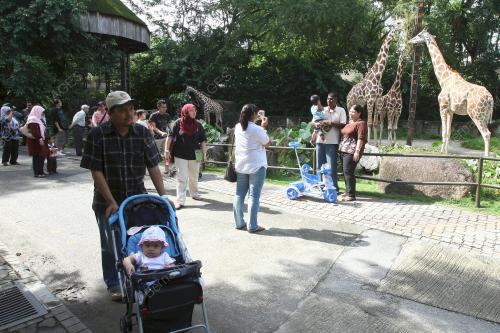 ZOO NEGARA