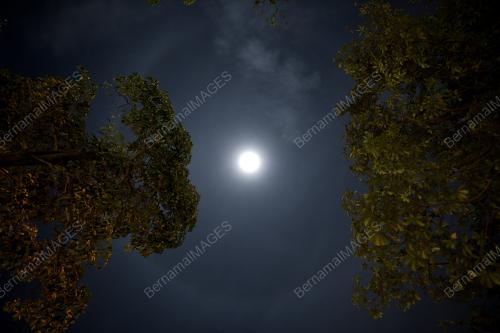 TINJAUAN FENOMENA HALO BULAN