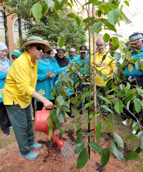 KL01_03052014_TUN_POKOK