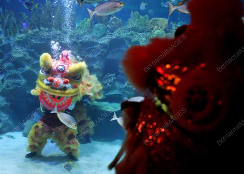 KL01_04022014_AQUARIA