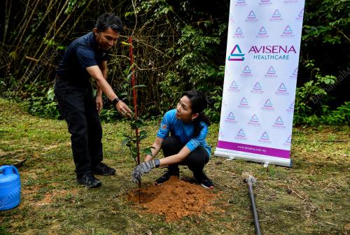 PROGRAM PENGHIJAUAN MALAYSIA AVISENA HEALTHCARE