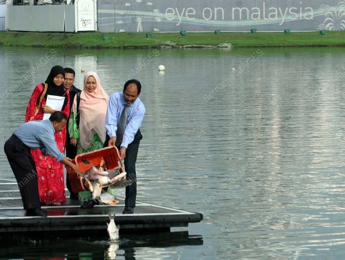 SALLEH YUSUP