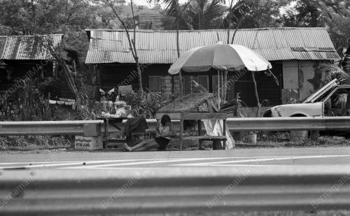 KL01_05032019_GERAI_BUAH