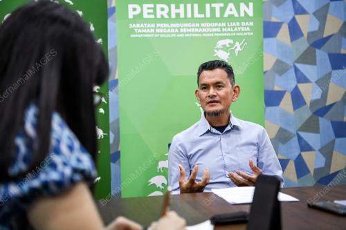 NOOR ALIF WIRA OSMAN
