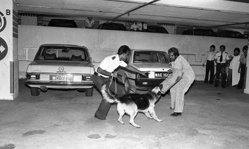 DEMONSTRASI ANJING