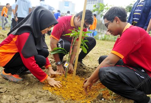 KL01_06082016_POKOK