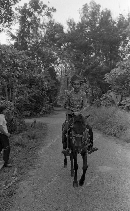 BAJAU HORSEMAN