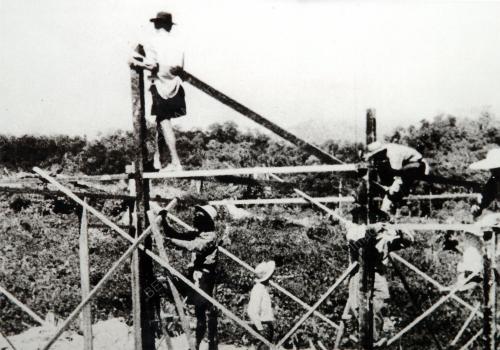 FELDA