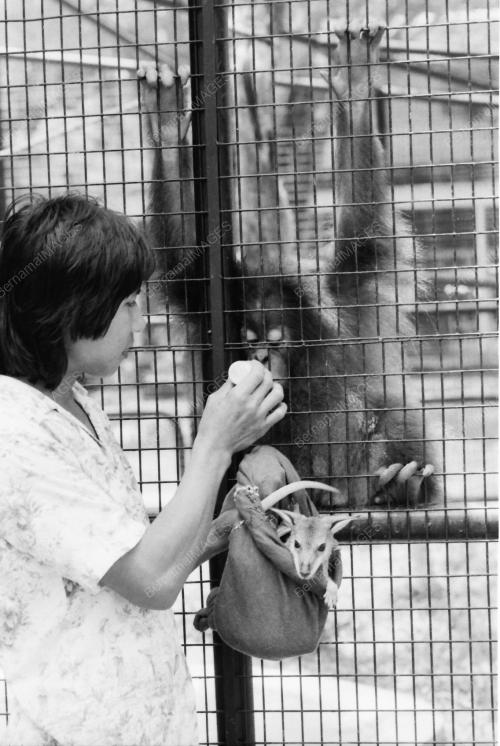 ZOO NEGARA