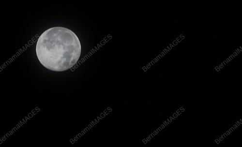 THE SUPER FLOWER MOON