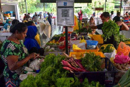 SAYUR