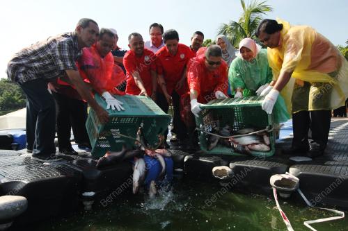KL01_10022017_MEMANCING_2