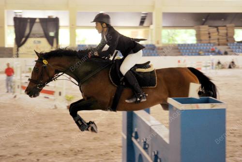 KL01_10052015_EQUESTRIAN