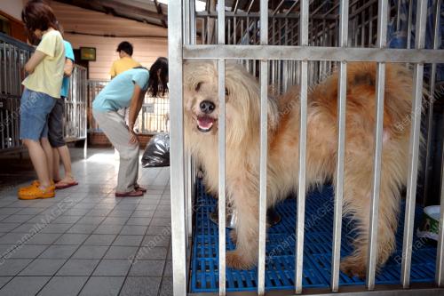 KL01_10062012_SPCA