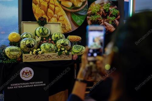 PROGRAM SETAHUN BERSAMA KERAJAAN MADANI