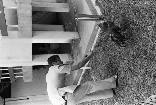 AYAM LAGA