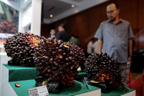 PERSIDANGAN PENANAM ANTARABANGSA KE- 10 2023