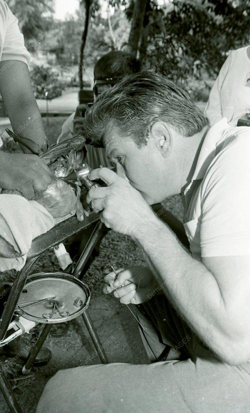 KL01_130690_BURUNG