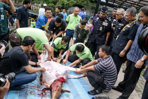 KL01_13092016_POLIS_KORBAN