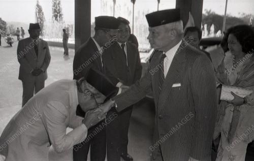 LEMBAGA LETRIK NEGARA