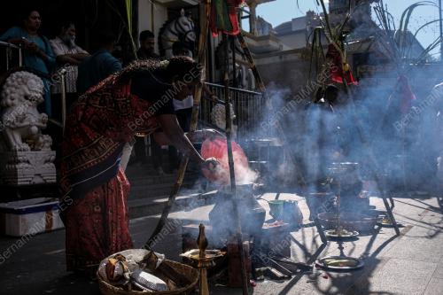 PESTA PONGGAL