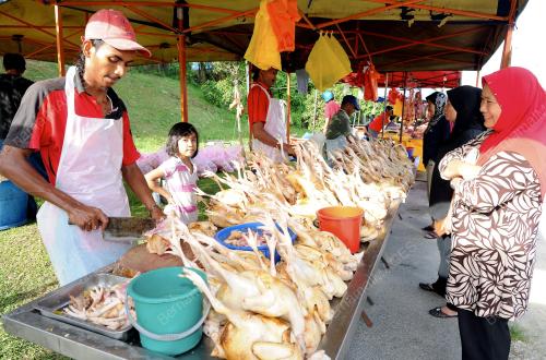 KL01_14102013_AYAM