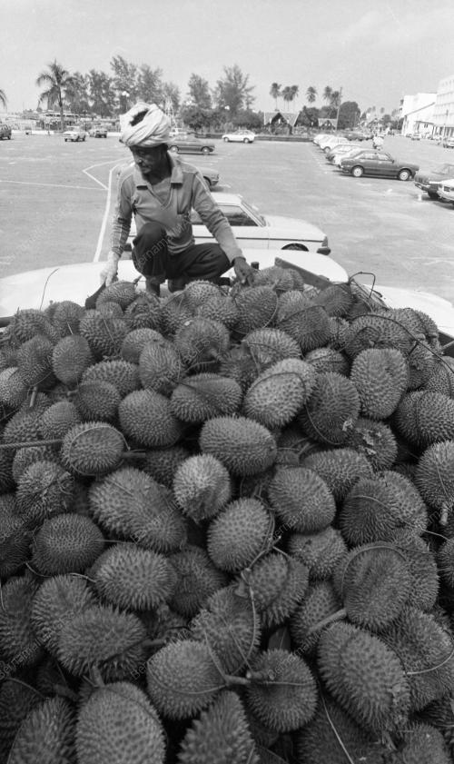 KL01_15012015_MUSIM_DURIAN