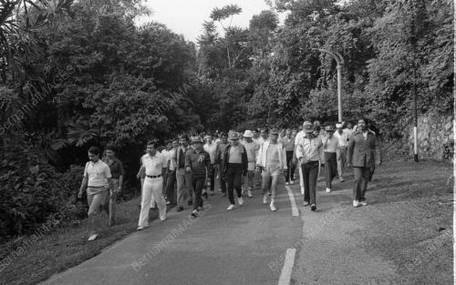 KL01_15012015_WALKATHON