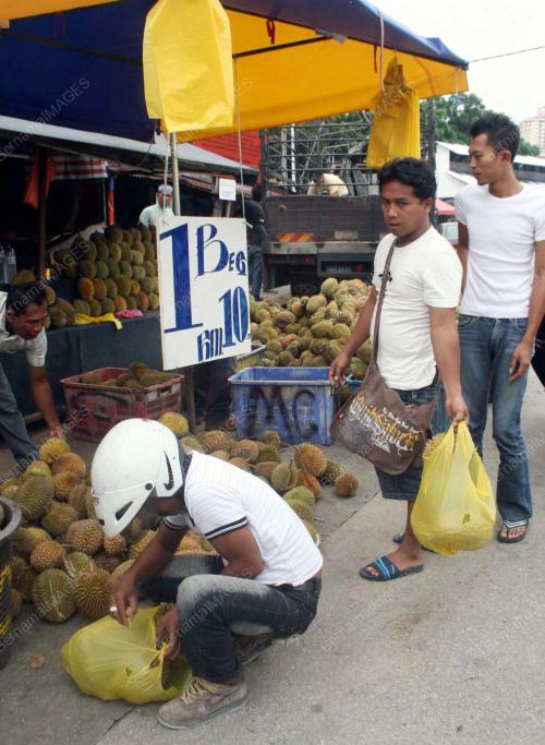 DURIAN_