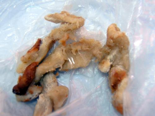 PENGGUNA-MAKANAN