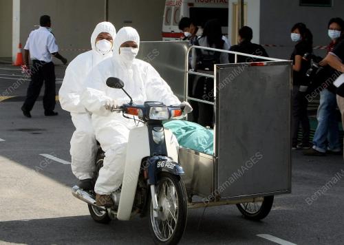 INFLUENZA A (H1N1)