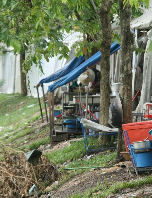 KURA_KURA PANJAT POKOK