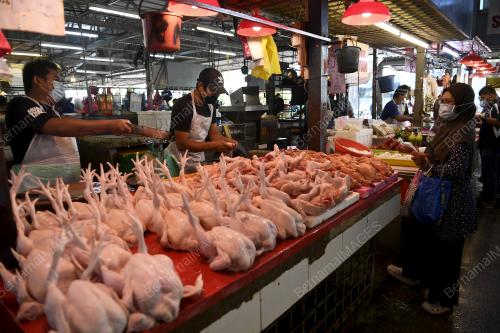 HARGA AYAM
