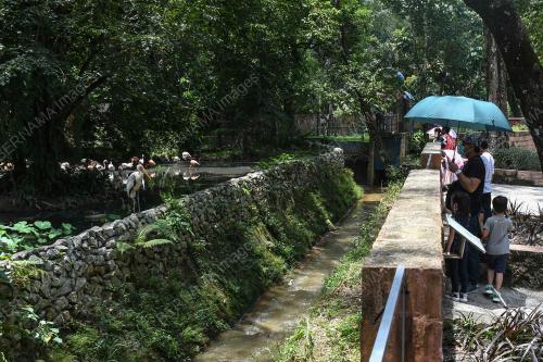 TINJAUAN ZOO NEGARA